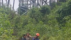 Hai người bị thương do sự cố phóng điện từ đường dây 110kV khi khai thác keo