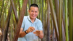 “Mật ngọt” giữa rừng dừa nước xứ Quảng