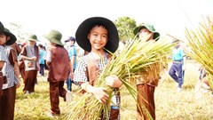 Rộn ràng “Sắc Quê Mộ Đức” – Lễ hội Ngày mùa 2026 đậm đà bản sắc nông thôn