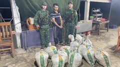 Ngăn chặn kịp thời vụ vận chuyển gần 400 kg thuốc nổ trái phép