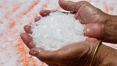 “Hoa muối’ Gò Cỏ - tinh thể của ký ức và di sản