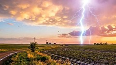 Hai người tử vong do sét đánh khi đang làm rẫy keo