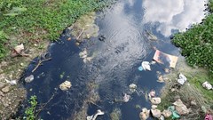 Nhiều thông số môi trường vượt chuẩn tại kênh chìm Sơn Tịnh