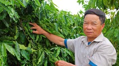 Từ ý chí người lính đến mô hình nông nghiệp doanh thu tiền tỉ
