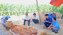 Cộng đồng chung tay giữ “báu vật” khảo cổ giữa lòng Quảng Ngãi