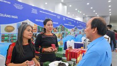 Quảng Ngãi thúc đẩy kết nối giao thương, mở rộng thị trường xuất khẩu