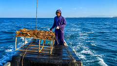 Chiếc bẫy tre giữ hồn nghề biển