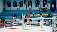 147 võ sinh tranh tài tại Giải Vô địch trẻ Võ cổ truyền Quảng Ngãi 2026