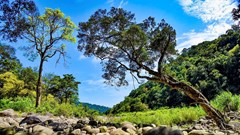 Biến “kho báu xanh” Vườn quốc gia Vũ Quang thành điểm đến sinh thái tầm cỡ