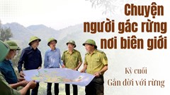 Kỳ cuối - Gắn đời với rừng