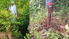 Hà Tĩnh chạy đua cùng tàu siêu tốc