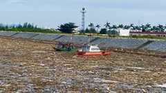 Video: Sau lũ, hàng trăm tấn rác trôi về bủa vây cảng Xuân Hội