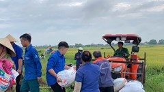 Hà Tĩnh sơ tán dân khẩn cấp trước bão số 5