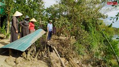 Tuyến sông Rào Cái sạt lở “nuốt” nhà dân sau bão số 5