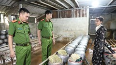 Phát hiện cơ sở dùng “nước kẹo” sản xuất giá đỗ ở Hà Tĩnh