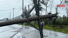 Hệ thống cột điện trên đường ven biển đổ rạp sau bão số 10