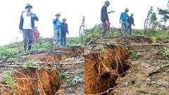 Phát hiện vết nứt dài trên đồi, Hà Tĩnh di dời dân khẩn cấp