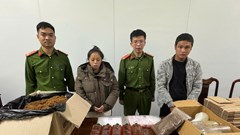 Bắt cặp đôi sản xuất ma túy Tobaco