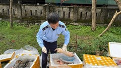 Hà Tĩnh: Tiêu hủy hơn 2,6 tấn nội tạng không rõ nguồn gốc
