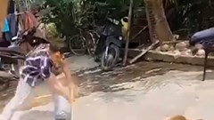 Chó tấn công chủ nuôi tử vong