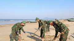 Huy động lực lượng thu gom hàng tấn vỏ ngao tím dạt vào bờ biển Hà Tĩnh