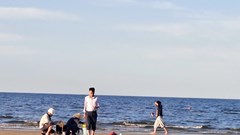 Kết quả xét nghiệm cá chết tại Hà Tĩnh