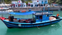 Xử lý nghiêm các trường hợp tàu cá “hoán cải” chở khách du lịch trái phép