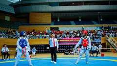 600 VĐV, HLV tham dự Giải Taekwondo quốc tế Hồng Bàng