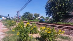 Đà Nẵng:   “Đường tàu - Đường hoa” tạo môi trường văn minh, sạch đẹp