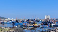 Đà Nẵng: Chủ động ứng phó với bão số 3