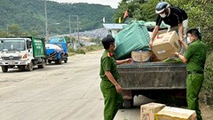 Đà Nẵng:  Tiêu hủy gần 10.000 bánh Trung thu trôi nổi