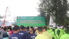 50 VĐV tham dự Giải Đua thuyền buồm vô địch quốc gia 2024
