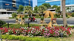 Đà Nẵng: Đầu tư hơn 18,6 tỉ đồng trang trí đô thị Tết 2025