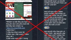 Công an Đà Nẵng khuyến cáo về các hình thức lừa đảo online “việc nhẹ lương cao“