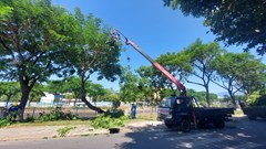 Đà Nẵng: Khắc phục thiệt hại sau bão số 6