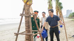 Lễ tiếp nhận và trồng dừa tại các bãi biển du lịch Đà Nẵng
