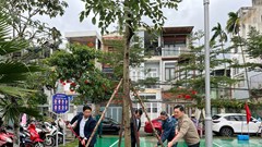 Lễ phát động “Tết trồng cây đời đời nhớ ơn Bác Hồ”