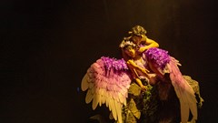 Ra mắt sản phẩm nghệ thuật show diễn “Tiên Sa“