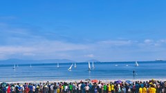 Tổ chức Lễ hội Cầu ngư truyền thống quận Thanh Khê 2025