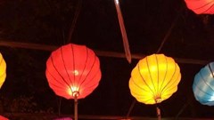 Chương trình nghệ thuật sắp đặt “Nhịp điệu tinh hoa”