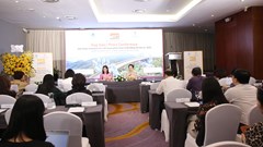 Thành lập 6 Tiểu ban phục vụ Liên hoan phim châu Á Đà Nẵng lần thứ III 