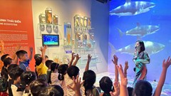 Bảo tàng chuyển mình trong thời đại số