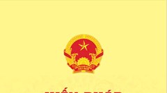 Nền tảng pháp lý vững chắc cho sự phát triển bền vững của đất nước