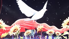 Sức hút từ sân khấu đến không gian mạng