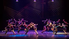 Điều gì nằm sau tấm vé ballet “Eugene Onegin” 20 triệu đồng sắp đến Việt Nam? 