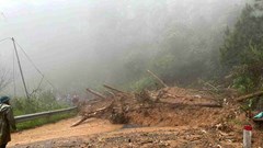 Giao thông Đà Lạt ảnh hưởng nghiêm trọng do hàng loạt điểm sạt lở sau mưa lớn