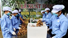 Nông sản Việt đổi trục phát triển từ “lượng” sang “chất”
