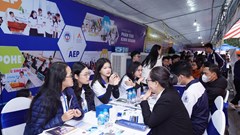 Dùng chứng chỉ ngoại ngữ thế nào trong tuyển sinh đại học 2026?