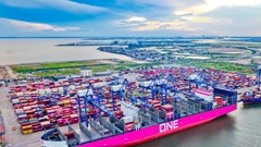 Giảm tối thiểu 10% giá dịch vụ hoa tiêu hàng hải với tàu thuyền Việt Nam