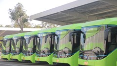 Đưa vào vận hành thêm 10 tuyến buýt điện với 288 phương tiện
